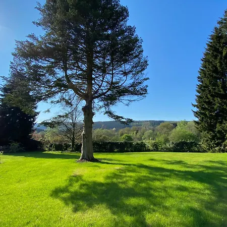 Chalet La Roanneuse - Cosy