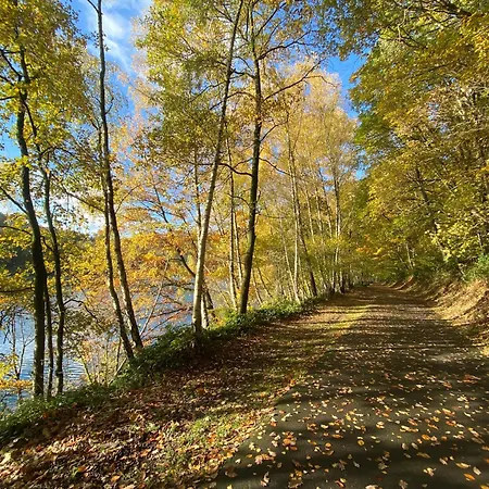 La Roanneuse - Cosy Alpesi faház