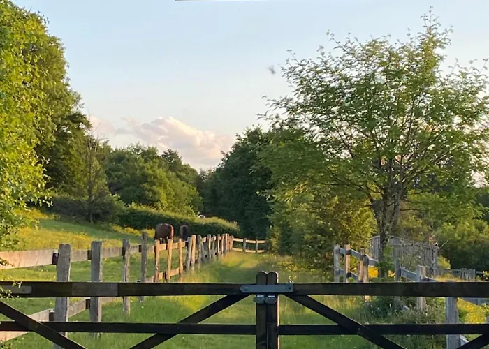 La Roanneuse - Cosy Francorchamps