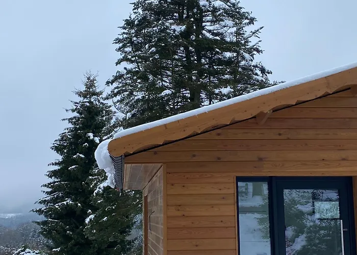 La Roanneuse - Cosy Domek alpejski *