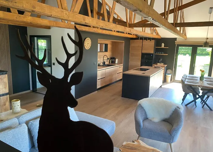 La Roanneuse - Cosy Domek alpejski Francorchamps