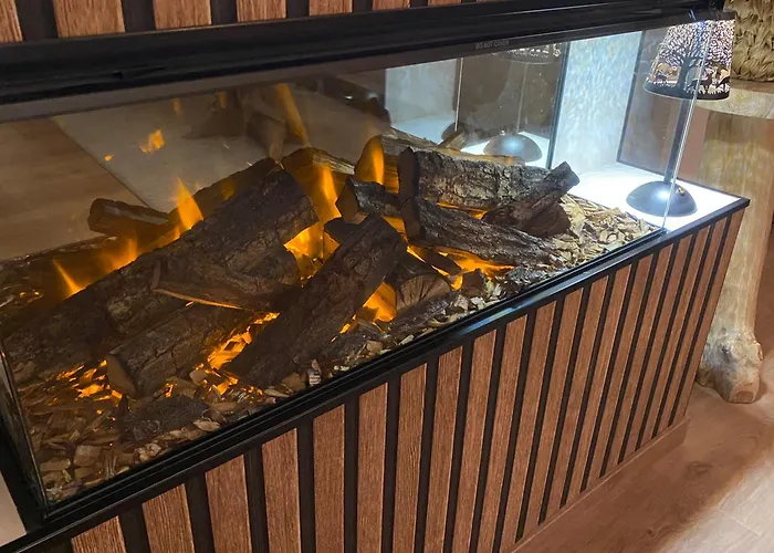 La Roanneuse - Cosy *